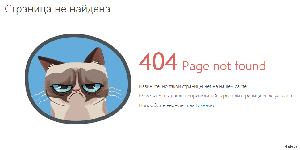  РЕНТГЕНА и ВЕТАПТЕКИ у нас нет